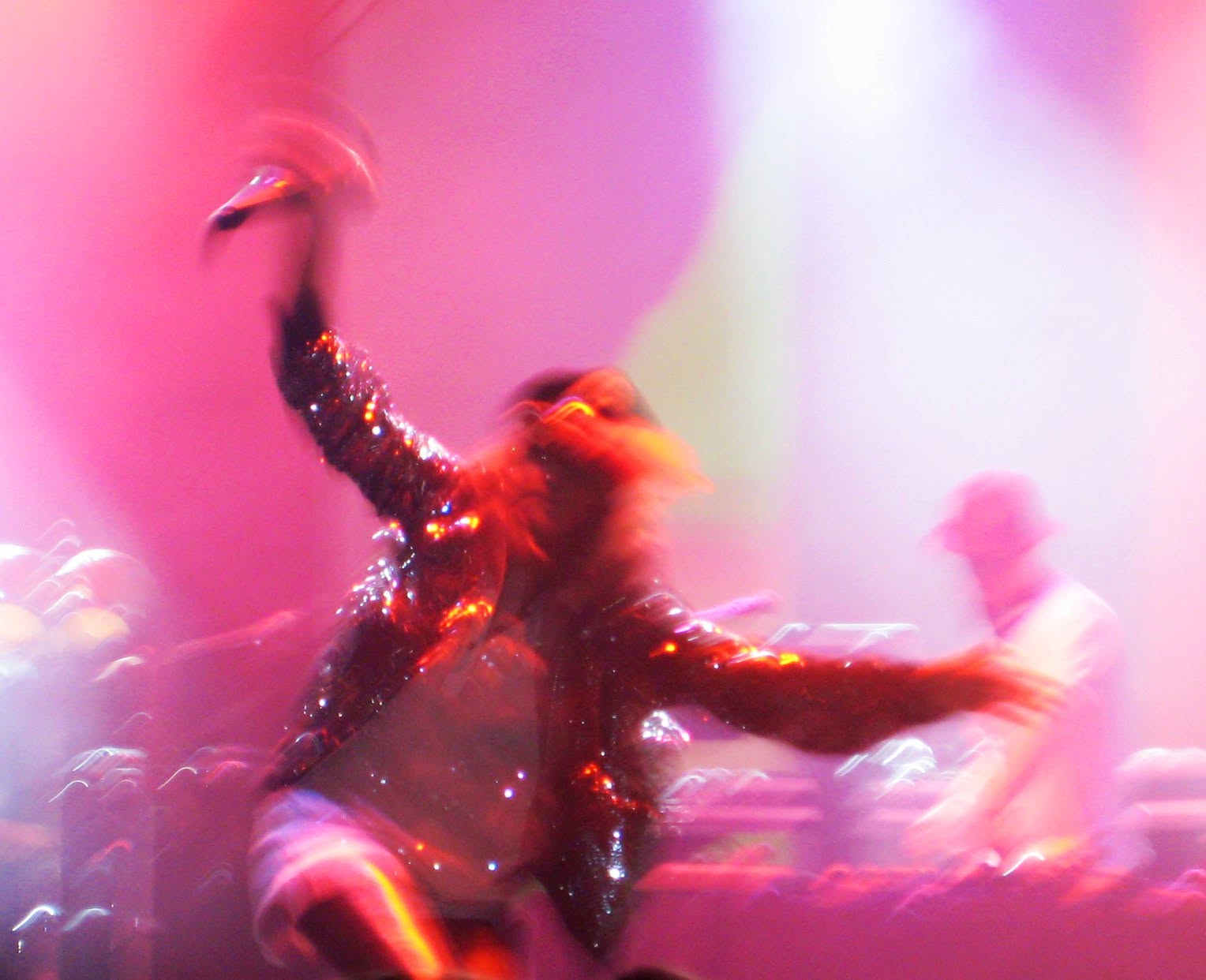 M.I.A. at Vegoose live, frame 6